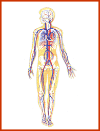 Sharngadhar Samhita Physiology